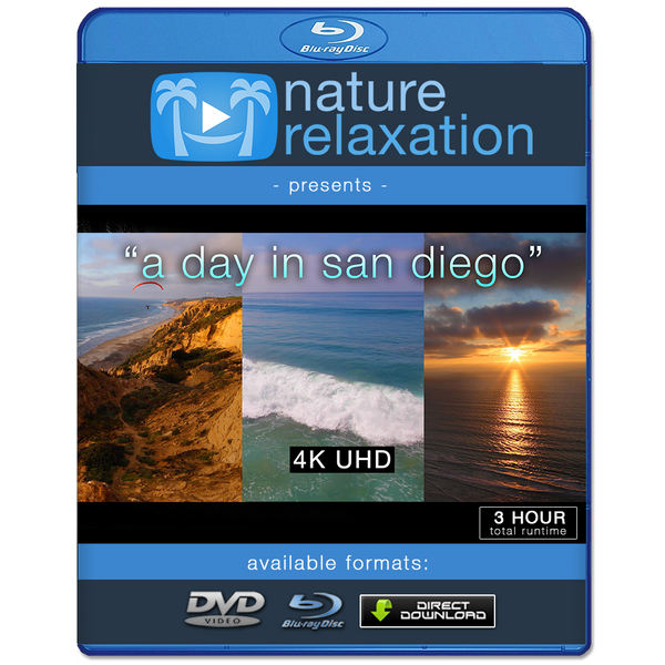 A Day in San Diego