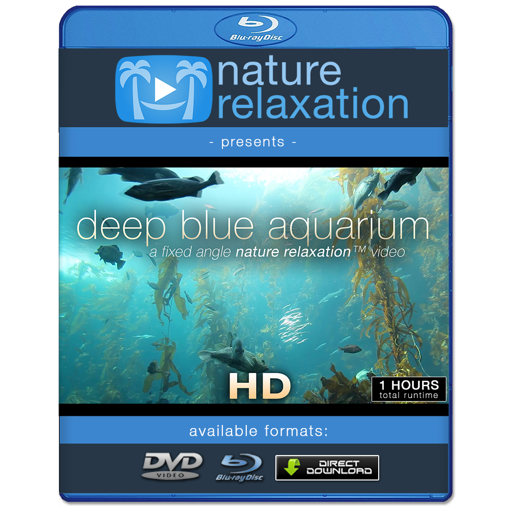 "Deep Blue Aquarium" w/ Music 1 HR Static Nature Video Scene HD