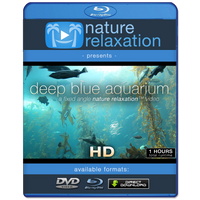 "Deep Blue Aquarium" w/ Music 1 HR Static Nature Video Scene HD