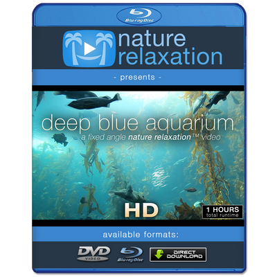 "Deep Blue Aquarium" w/ Music 1 HR Static Nature Video Scene HD