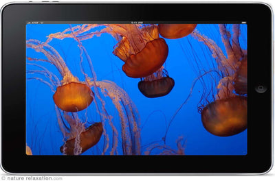 "Deep Ocean Relaxation" 1 or 8 HOUR Underwater / Aquarium Video HD 1080p