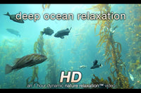 "Deep Ocean Relaxation" 1 or 8 HOUR Underwater / Aquarium Video HD 1080p