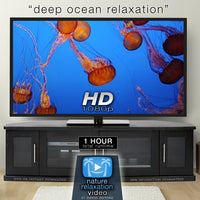 "Deep Ocean Relaxation" 1 or 8 HOUR Underwater / Aquarium Video HD 1080p