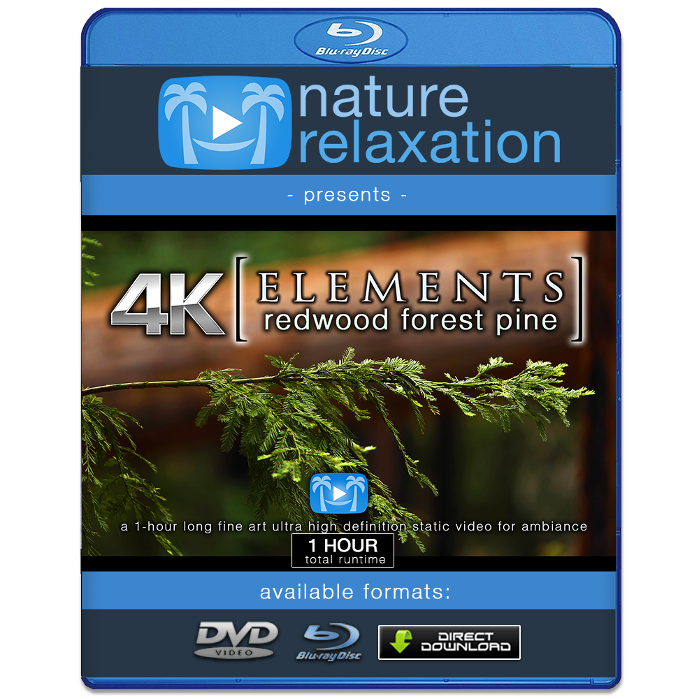 "Redwood Forest Pine Tree" 1 HR  Static Nature Video 4K