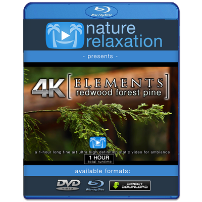 "Redwood Forest Pine Tree" 1 HR  Static Nature Video 4K