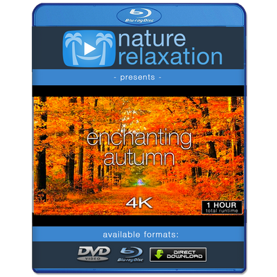 "Enchanting Autumn" 1 or 11 HR Fall Nature Film in 4K UHD