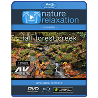 "Fall Oregon Creek" 1 HR  Static Nature Video 4K