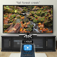 "Fall Oregon Creek" 1 HR  Static Nature Video 4K