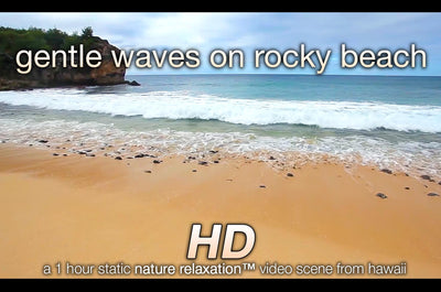 "Gentle Waves on Rocky Beach" 1 HR Static Nature Scene HD