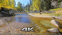 "Glistening Autumn Stream" 1 HR Static Nature Video 4K