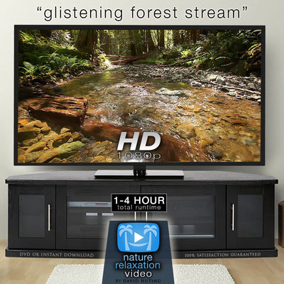 "Glistening Forest Stream" Static Nature Relaxation Video HD