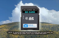 "Golden Aspen Meadow"  10 MIN Healing Music Video HD