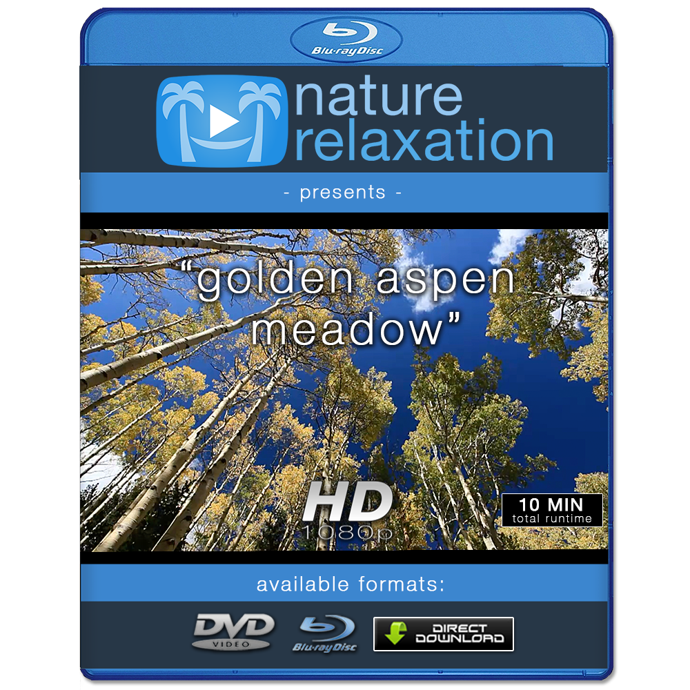 "Golden Aspen Meadow"  10 MIN Healing Music Video HD