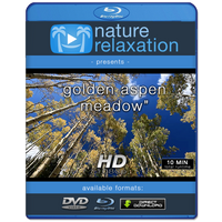 "Golden Aspen Meadow"  10 MIN Healing Music Video HD