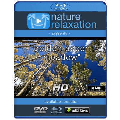 "Golden Aspen Meadow"  10 MIN Healing Music Video HD