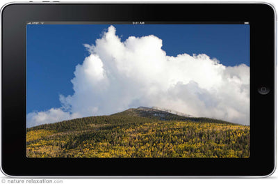 "Golden Aspen Meadow"  10 MIN Healing Music Video HD