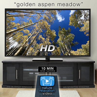 "Golden Aspen Meadow"  10 MIN Healing Music Video HD