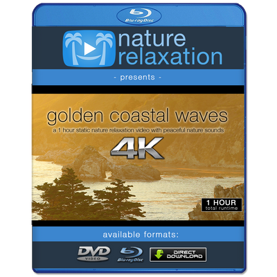 "Golden Coastal Waves" 1 HR Static 4K Nature Video