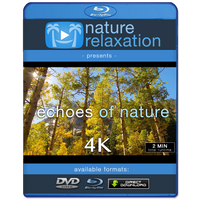 "Golden Echoes of Nature" Short 2 MIN Music Video 4K