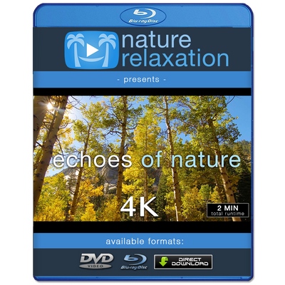"Golden Echoes of Nature" Short 2 MIN Music Video 4K