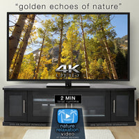 "Golden Echoes of Nature" Short 2 MIN Music Video 4K