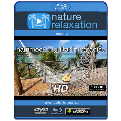 "Hammock + Guitar in Paradise" 1 HR Static Nature Video Scene HD