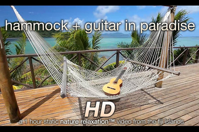 "Hammock + Guitar in Paradise" 1 HR Static Nature Video Scene HD