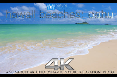 "Hawaii Beaches: Oahu" 90 MIN Dynamic Nature Video 4K