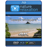 "Hawaii Whispers" 4K Dynamic Short Nature Relaxation™ Music Video