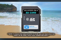 "Gentle Waves on Rocky Beach" 1 HR Static Nature Scene HD