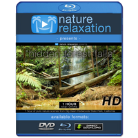 "Hidden Forest Falls" Dynamic HD Nature Relaxation Video 1 Hour 1080p