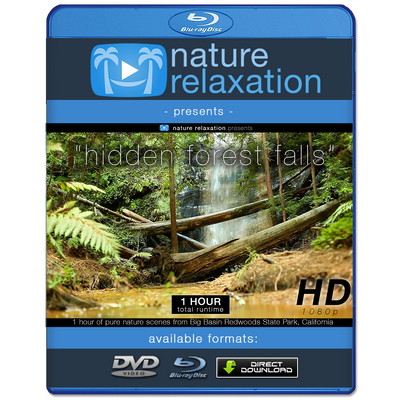 "Hidden Forest Falls" Dynamic HD Nature Relaxation Video 1 Hour 1080p