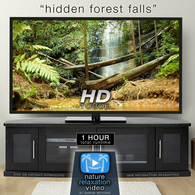 "Hidden Forest Falls" Dynamic HD Nature Relaxation Video 1 Hour 1080p