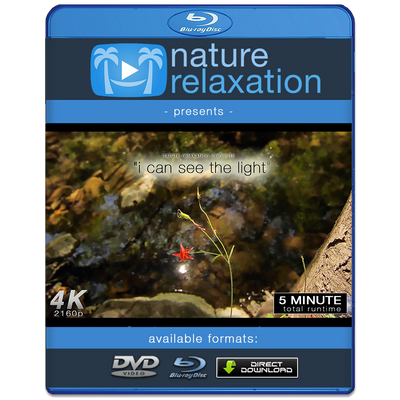 "I Can See the Light" by Travis Revell 4K Nature Relaxation Music Video Big Sur California