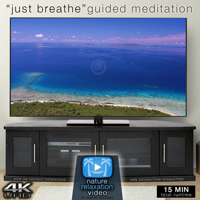 "Just Breathe" Guided Meditation Video + Breathe Timer & Music in 4K