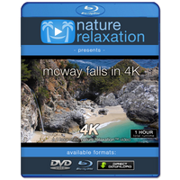 "McWay Falls in 4K" Big Sur 1 HR Static Nature Scene + Sounds