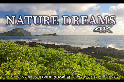 "Nature Dreams" 1 HR Dynamic 4K UHD Music Video