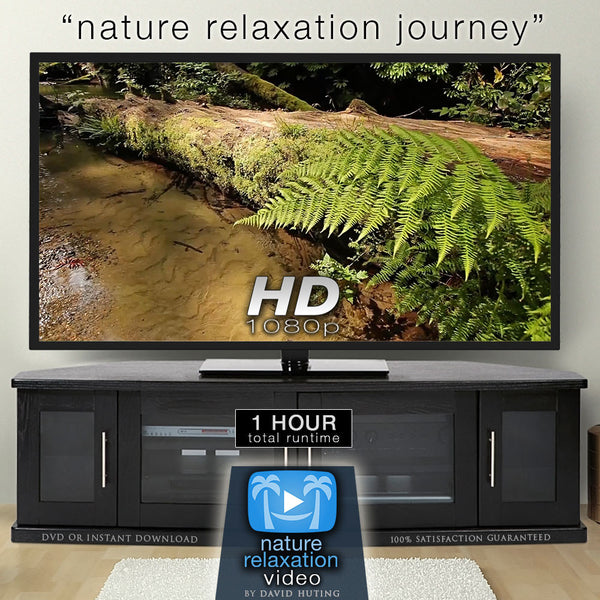 その他 TV Moodscapes: Ultimate Relaxation Video [DVD] s-l400.jpg