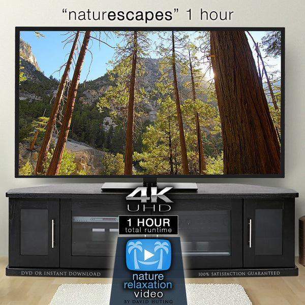 NatureScapes