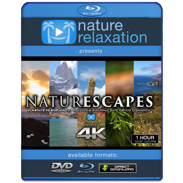 TV Moodscapes-Ultimate Relaxation Video DVD 2007 | eBay
