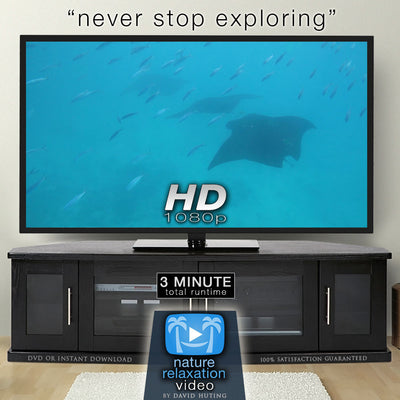"Never Stop Exploring" Uplifting Short Nature Relaxation Music Video HD 1080p