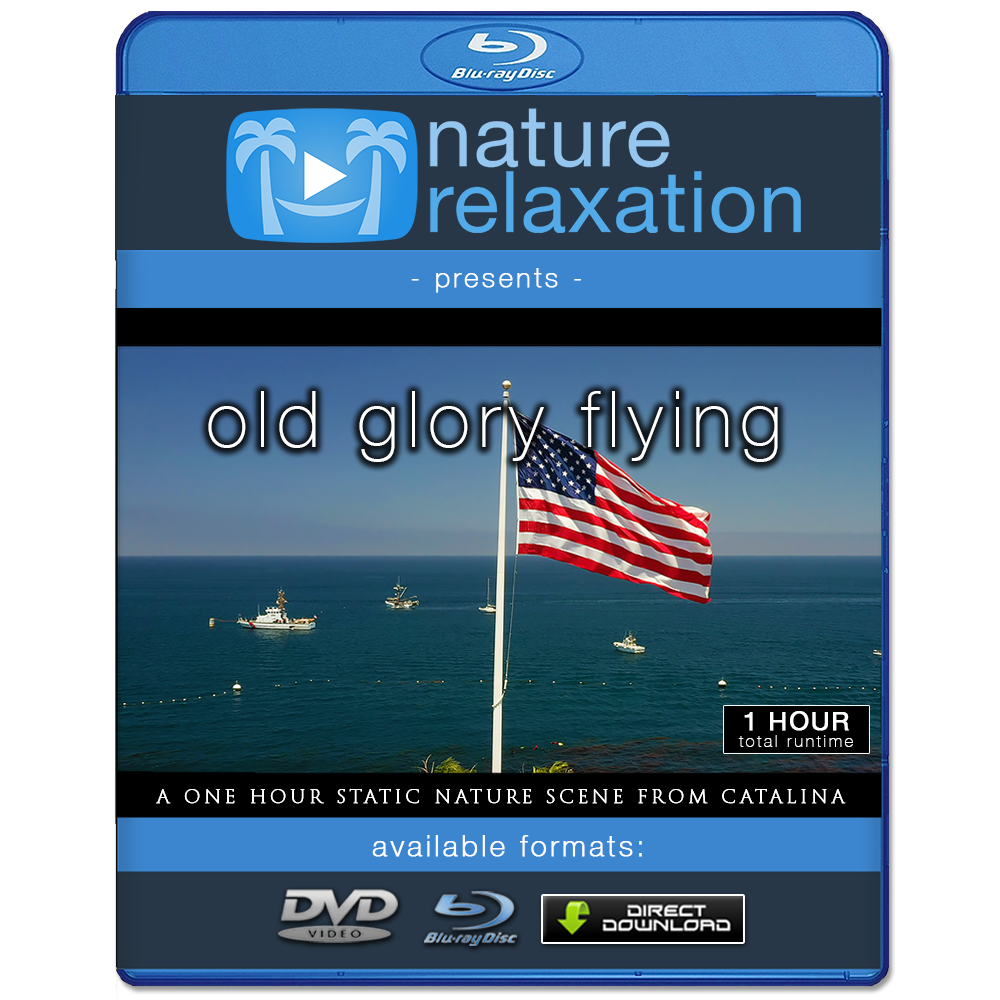 "Old Glory Flying" 1 HR 4K Static Flag + Ocean Video Scene