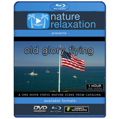 "Old Glory Flying" 1 HR 4K Static Flag + Ocean Video Scene
