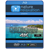 "Paradise" a Short Inspirational Aerial 4K Music Video