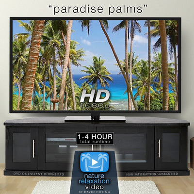 "Paradise Palms" Tropical Fiji Static Nature Video Scene