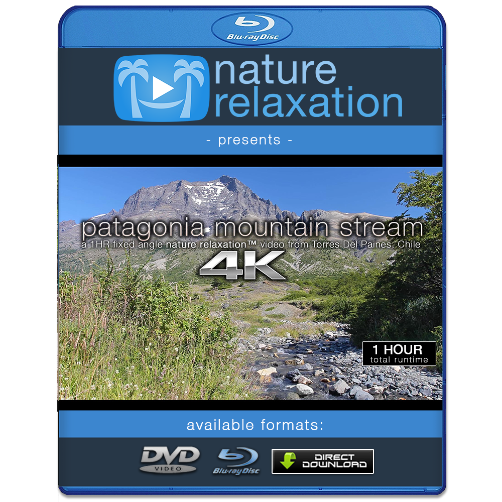 "Patagonian Mountain Stream" 1 HR  Static Nature Video 4K