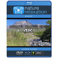 "Patagonian Mountain Stream" 1 HR  Static Nature Video 4K