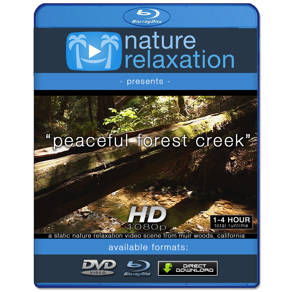 "Peaceful Forest Creek" Static Nature Screensaver HD 1080p