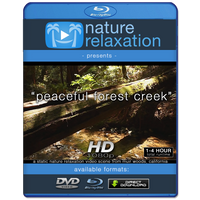 "Peaceful Forest Creek" Static Nature Screensaver HD 1080p