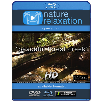 "Peaceful Forest Creek" Static Nature Screensaver HD 1080p